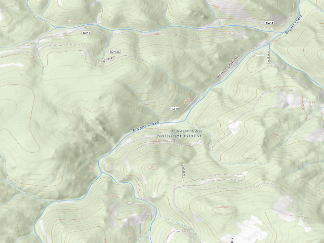 USGS topographic map of Bridge