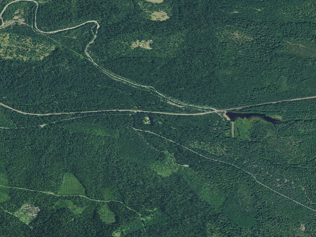 Aerial image of Briggs Forest Camp