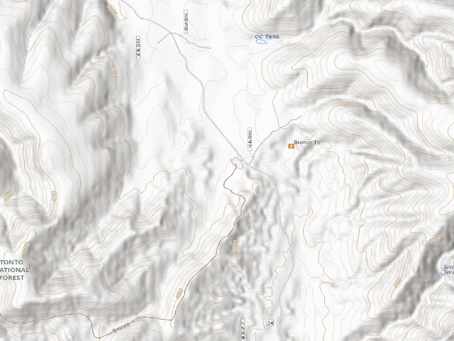 USGS topographic map of Bronco Trailhead Dispersed