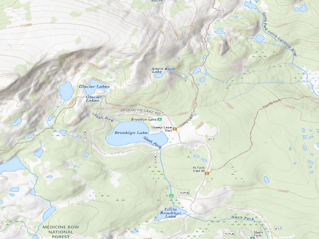 USGS topographic map of Brooklyn Lake