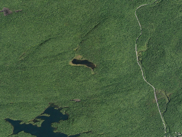Aerial image of Broomstick Lake #1 (Ferris Lake Wild Forest)