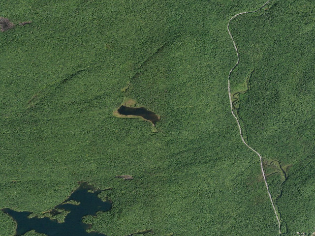 Aerial image of Broomstick Lake #1 (Ferris Lake Wild Forest)