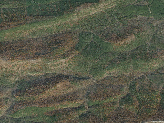 Aerial image of Brown Creek Trail Shelter