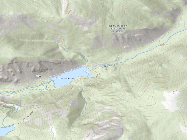 USGS topographic map of Brownes Lake Dispersed Site