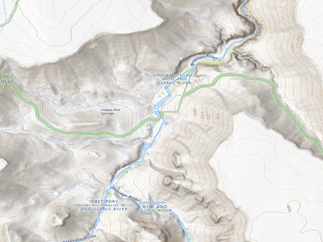 USGS topographic map of Bruneau Wild And Scenic River