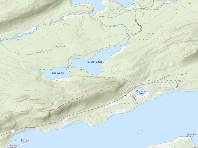 USGS topographic map of Bubb Lake Designated Tent Site 1 (Fulton Chain Wild Forest)