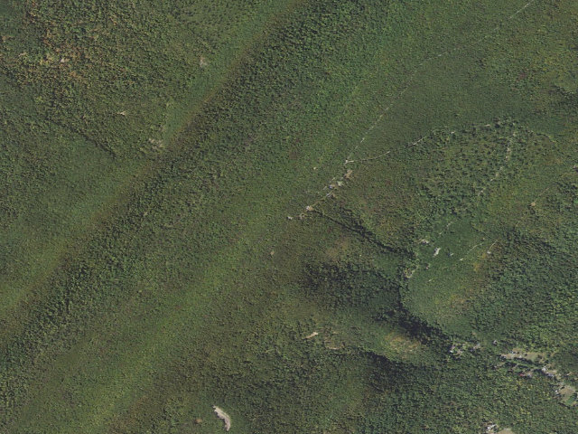 Aerial image of Buchanan State Forest roadside campsite BV001 Bums Inn