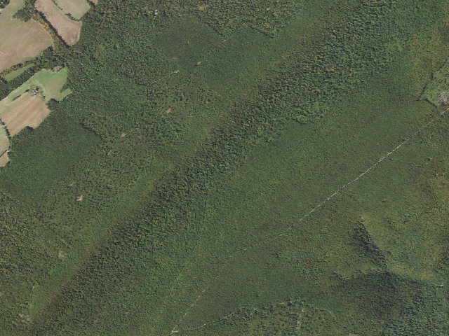 Aerial image of Buchanan State Forest roadside campsite BV002 Two Mile