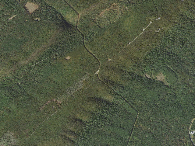 Aerial image of Buchanan State Forest roadside campsite BV004 Pipeline East