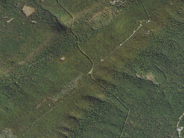 Aerial image of Buchanan State Forest roadside campsite BV005 Pipeline West