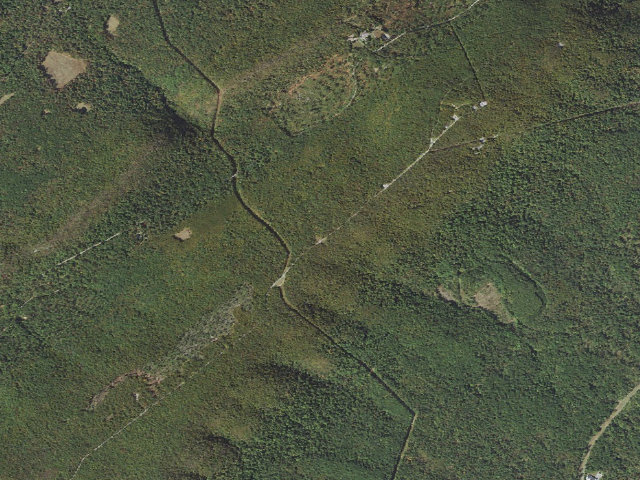 Aerial image of Buchanan State Forest roadside campsite BV007 Broad Mountain West