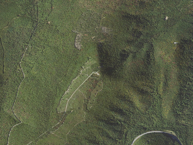 Aerial image of Buchanan State Forest roadside campsite BV009 Tower