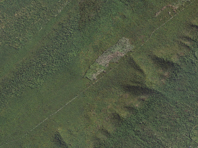 Aerial image of Buchanan State Forest roadside campsite BV012 Broad Mountain Landing 1