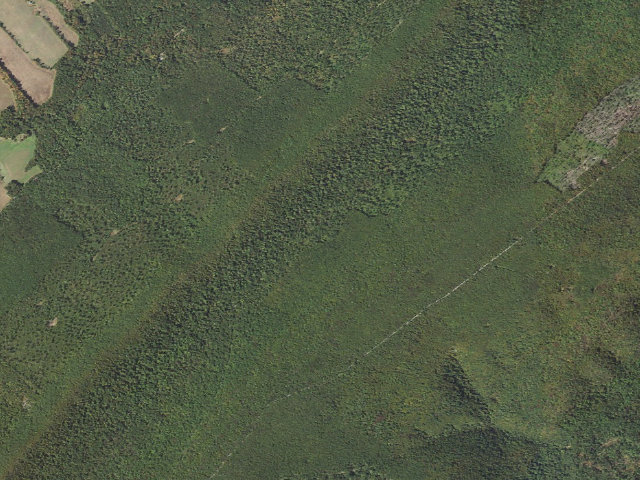 Aerial image of Buchanan State Forest roadside campsite BV015 Bear Valley
