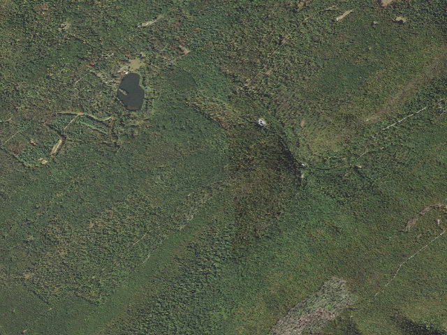 Aerial image of Buchanan State Forest roadside campsite BV016 Ski Tral