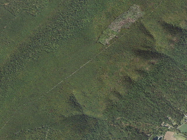Aerial image of Buchanan State Forest roadside campsite BV017 Fry Trail