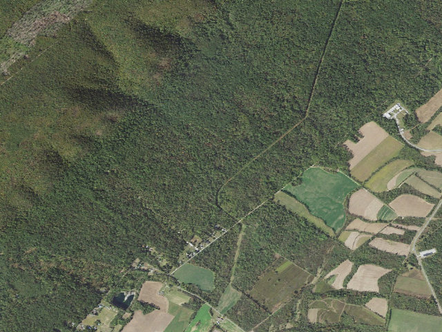 Aerial image of Buchanan State Forest roadside campsite BV018 Cabin Trail