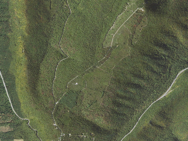 Aerial image of Buchanan State Forest roadside campsite BV020 Tower CCO