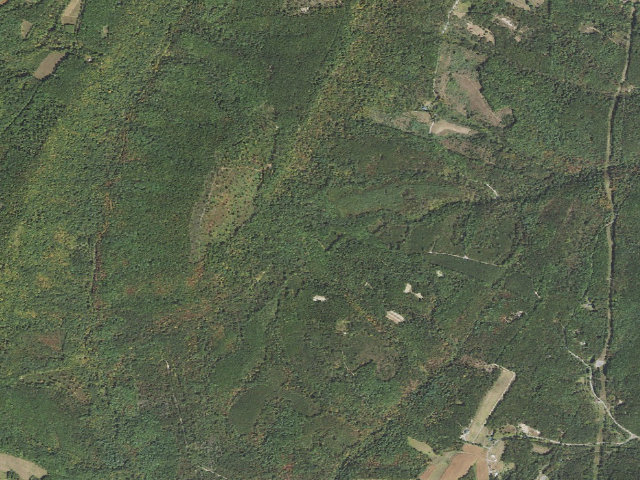 Aerial image of Buchanan State Forest roadside campsite CV004 Shaffer Road