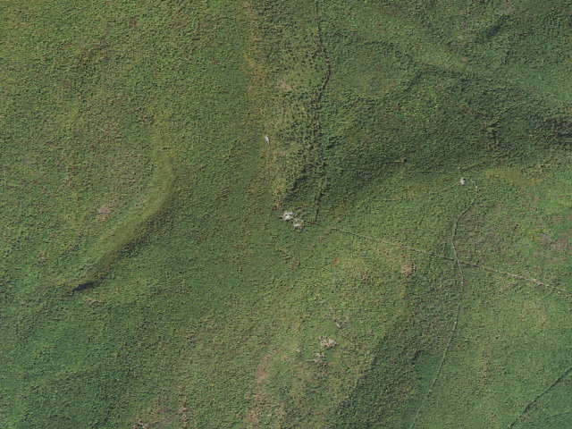 Aerial image of Buchanan State Forest roadside campsite CV006 Tower Lot