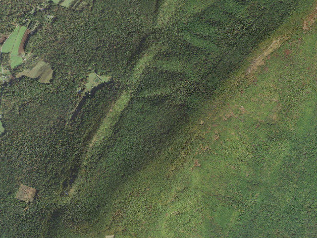 Aerial image of Buchanan State Forest roadside campsite CV007 Blankley Road West