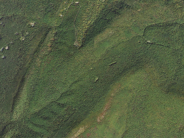 Aerial image of Buchanan State Forest roadside campsite CV008 Oak Trail