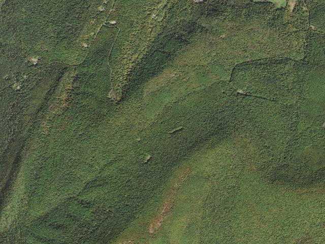 Aerial image of Buchanan State Forest roadside campsite CV009 Blankley Landing