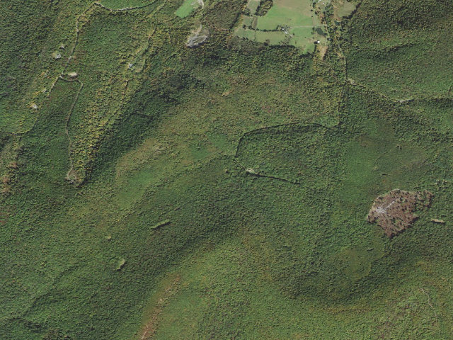 Aerial image of Buchanan State Forest roadside campsite CV010 Wertz Landing