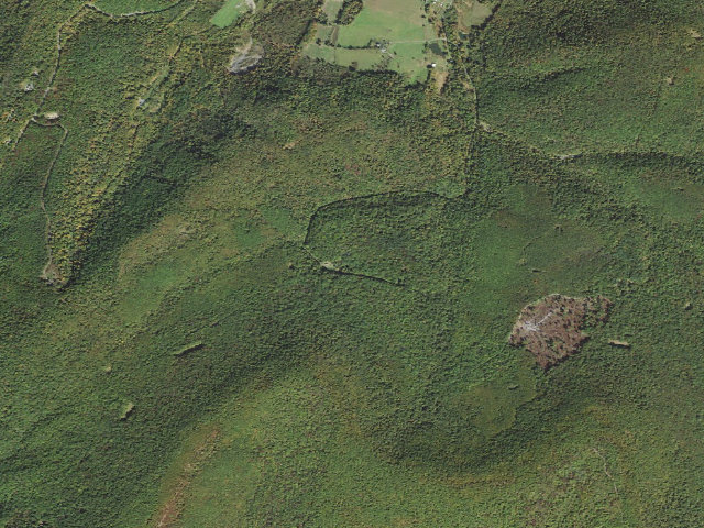 Aerial image of Buchanan State Forest roadside campsite CV011 Martin Hill North