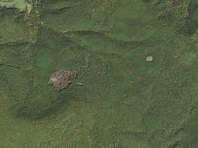 Aerial image of Buchanan State Forest roadside campsite CV013 Refuge Trail ATV