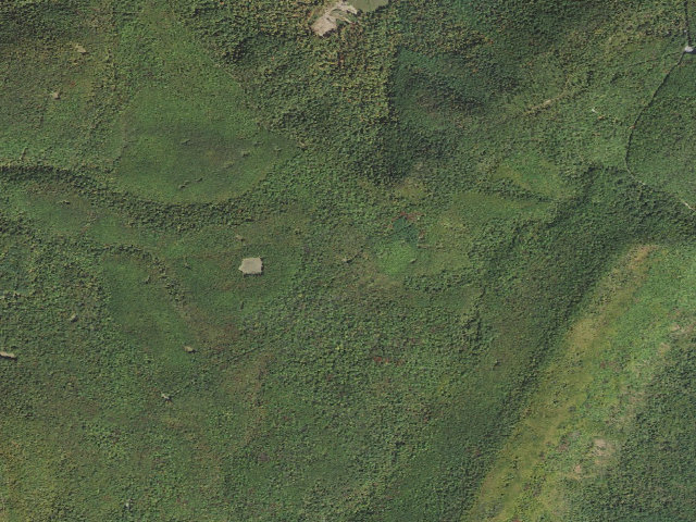 Aerial image of Buchanan State Forest roadside campsite CV014 Nester Lot