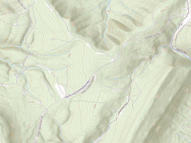 USGS topographic map of Buchanan State Forest roadside campsite CV014 Nester Lot