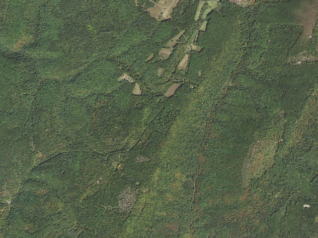 Aerial image of Buchanan State Forest roadside campsite CV016 Mt. Zion
