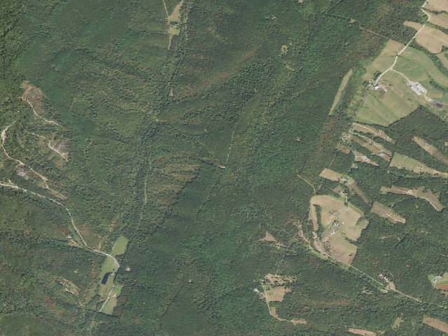 Aerial image of Buchanan State Forest roadside campsite CV017 Lawhead