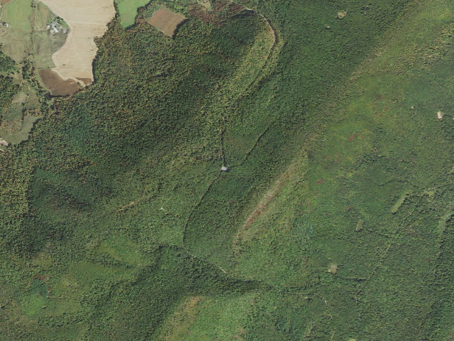 Aerial image of Buchanan State Forest roadside campsite CV021 326 Lot
