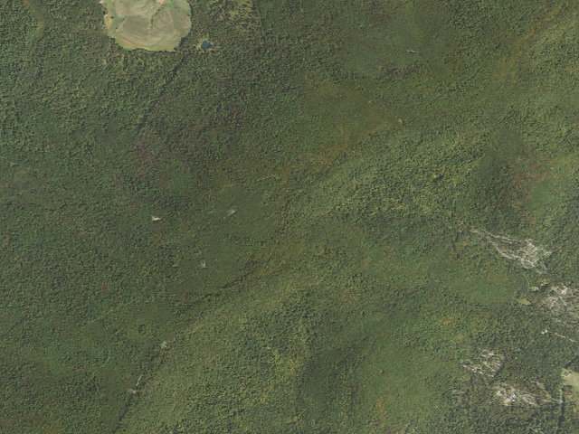 Aerial image of Buchanan State Forest roadside campsite SH002 Bark Road A