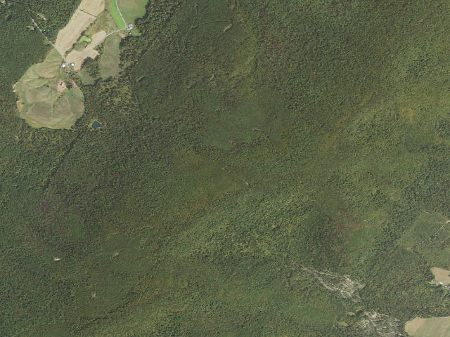 Aerial image of Buchanan State Forest roadside campsite SH004 Bark Road C