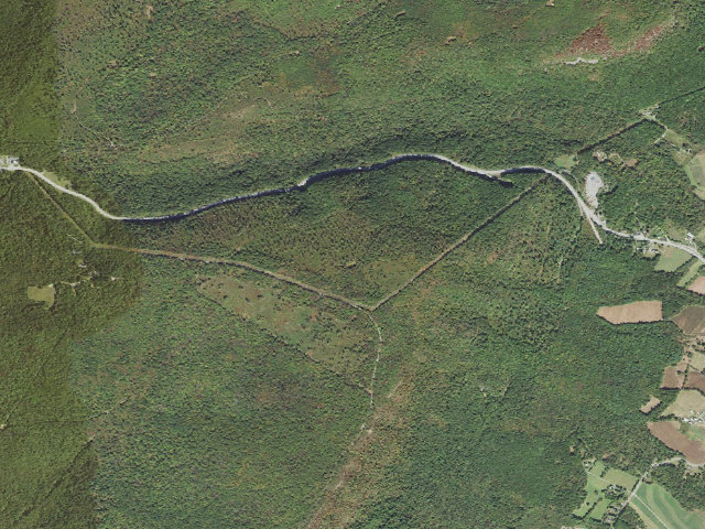 Aerial image of Buchanan State Forest roadside campsite SH007 Mitchell Trail