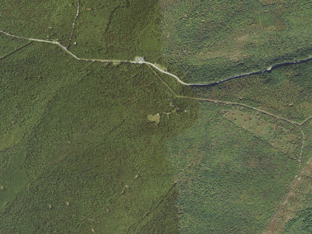Aerial image of Buchanan State Forest roadside campsite SH008 Culvert Field