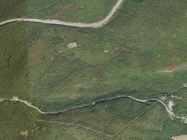 Aerial image of Buchanan State Forest roadside campsite SH017 Jerry Road