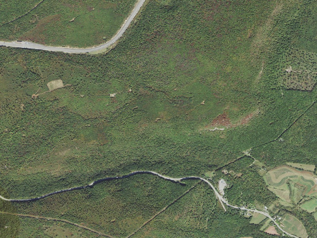 Aerial image of Buchanan State Forest roadside campsite SH018 King Landing A