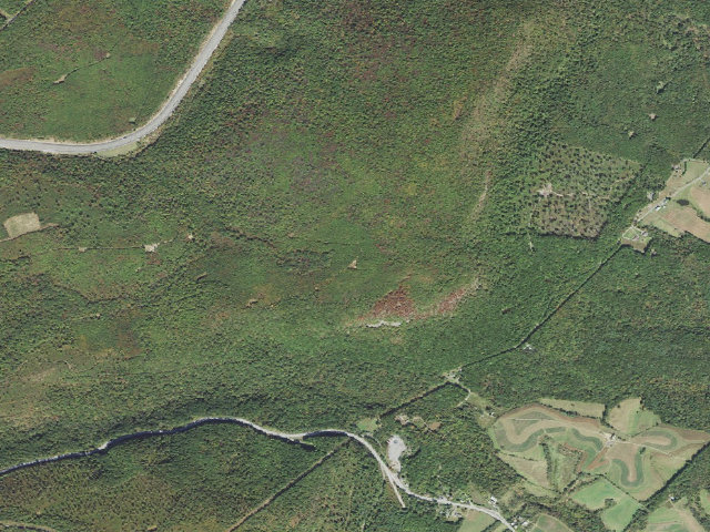 Aerial image of Buchanan State Forest roadside campsite SH019 King Landing B