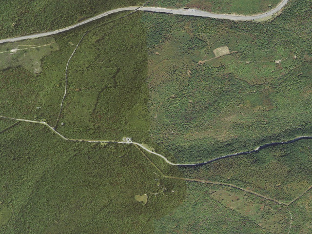 Aerial image of Buchanan State Forest roadside campsite SH022 Jerry Trail South