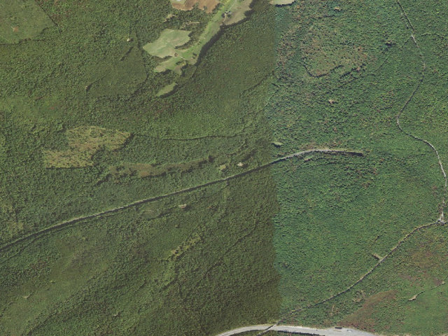 Aerial image of Buchanan State Forest roadside campsite SH023 Oregon Ball Field