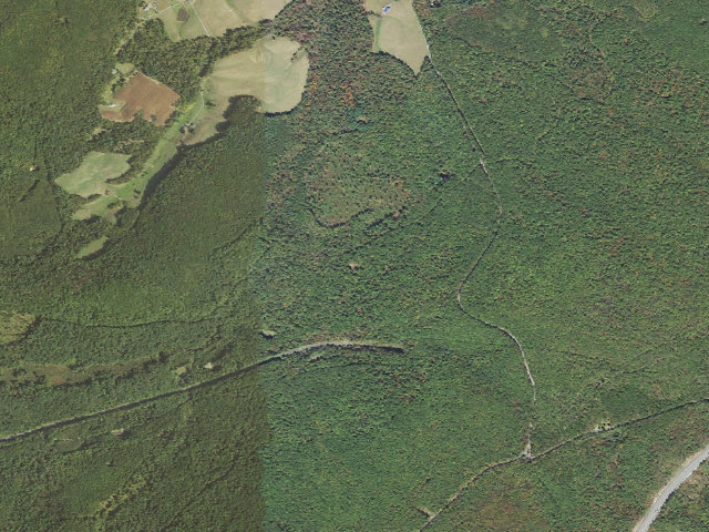 Aerial image of Buchanan State Forest roadside campsite SH025 Oregon Upper