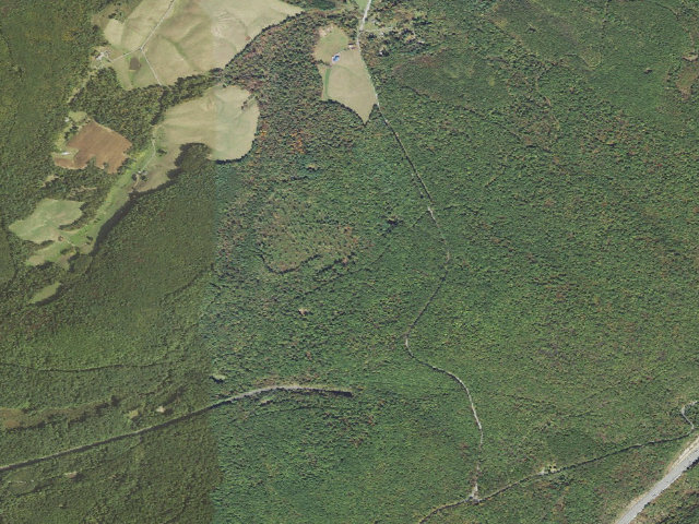 Aerial image of Buchanan State Forest roadside campsite SH026 Oregon Lower