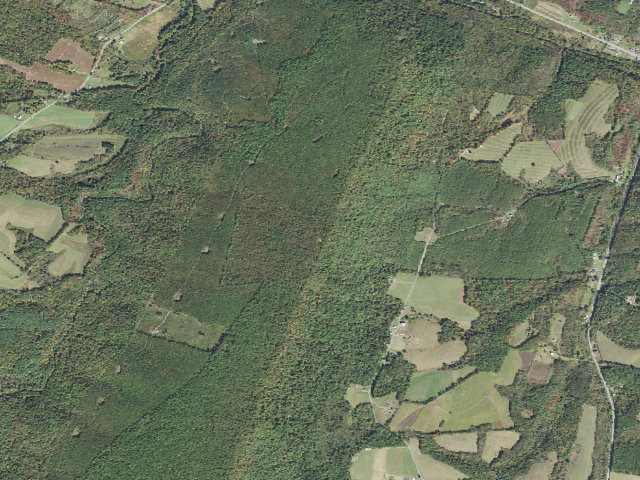 Aerial image of Buchanan State Forest roadside campsite SH031 Gracey