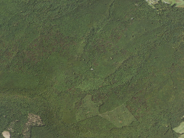 Aerial image of Buchanan State Forest roadside campsite SH032 Waterflat