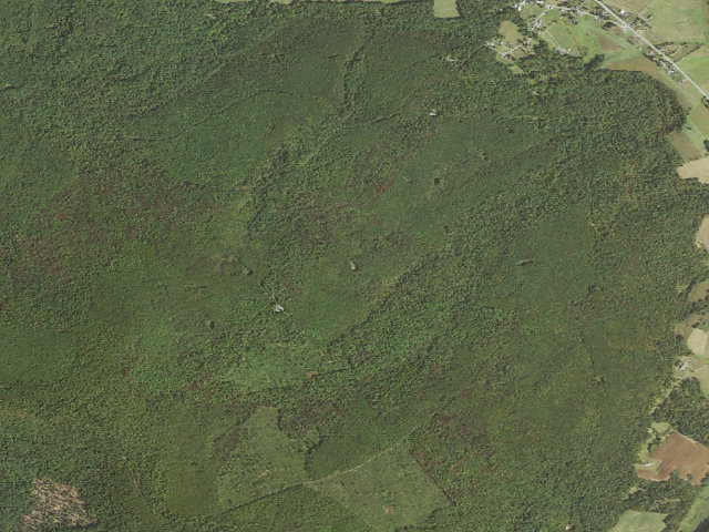 Aerial image of Buchanan State Forest roadside campsite SH033 Cove Road Landing