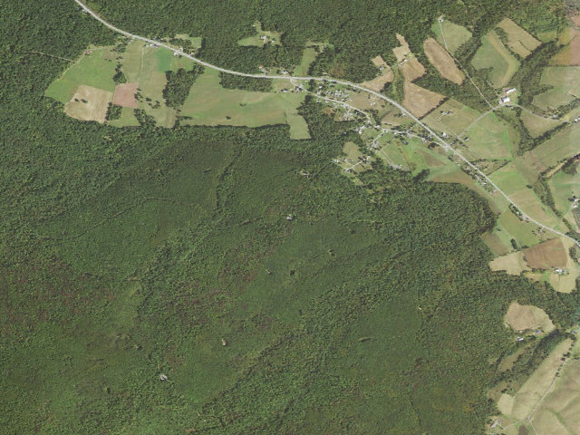 Aerial image of Buchanan State Forest roadside campsite SH035 Cove Road ATV